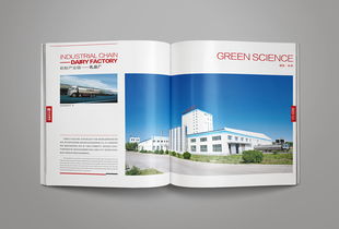 凝練品牌精髓，彰顯卓越風(fēng)范——洛娃集團(tuán)畫(huà)冊(cè)整合設(shè)計(jì)與企業(yè)形象策劃